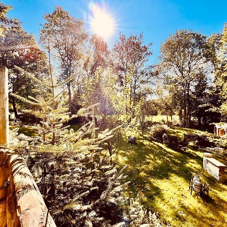 La Cabane Perchee Du Trappeur Écrainville 外观 照片
