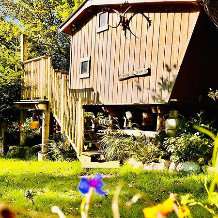 La Cabane Perchee Du Trappeur Écrainville 外观 照片