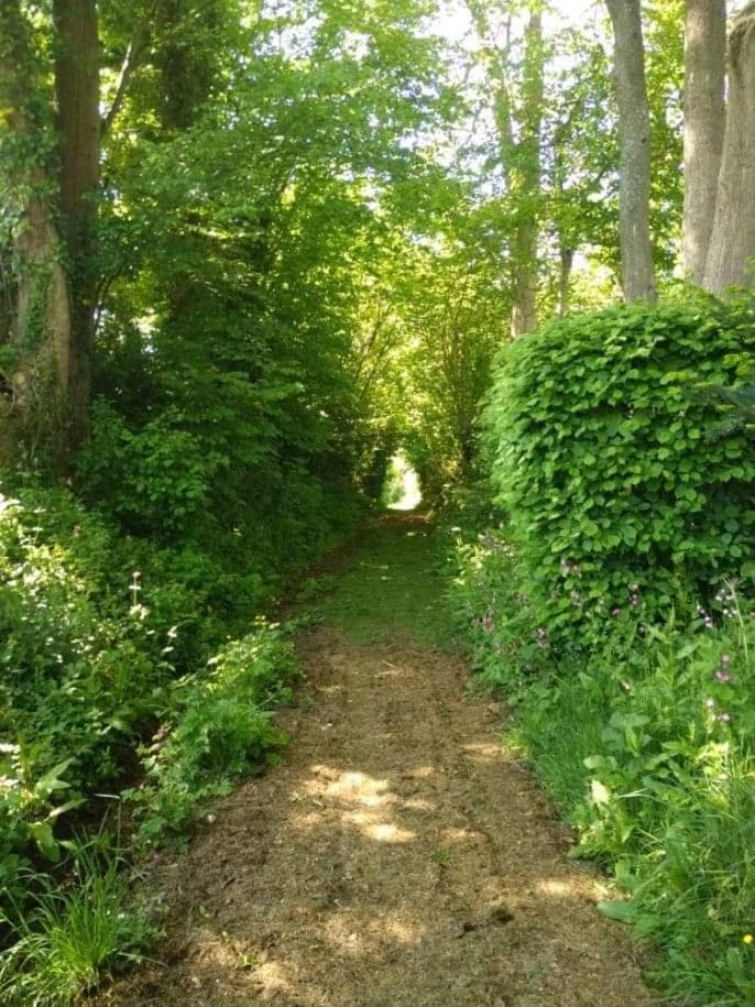 La Cabane Perchee Du Trappeur Écrainville 外观 照片