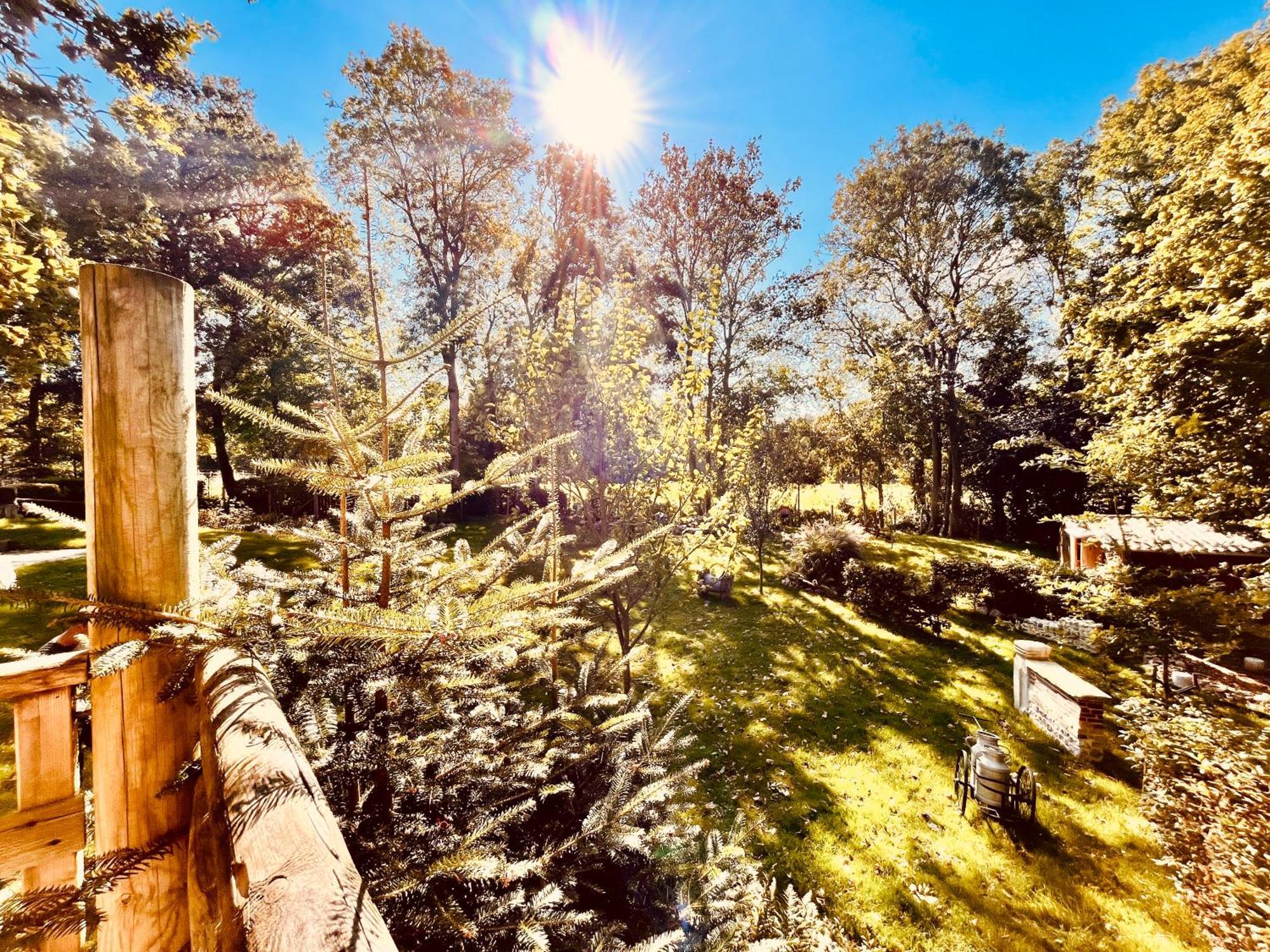 La Cabane Perchee Du Trappeur Écrainville 外观 照片
