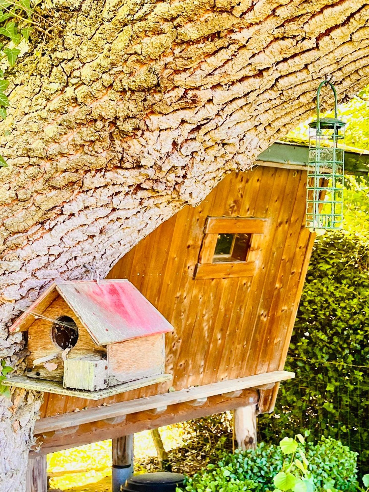 La Cabane Perchee Du Trappeur Écrainville 外观 照片